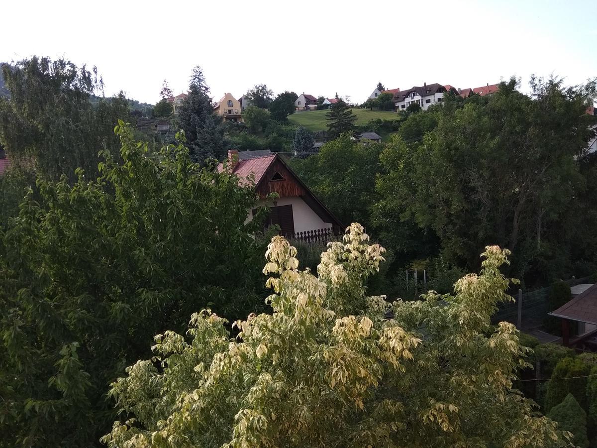 Anna Ilona Vendeghaz Hotel Badacsonytomaj Exterior photo